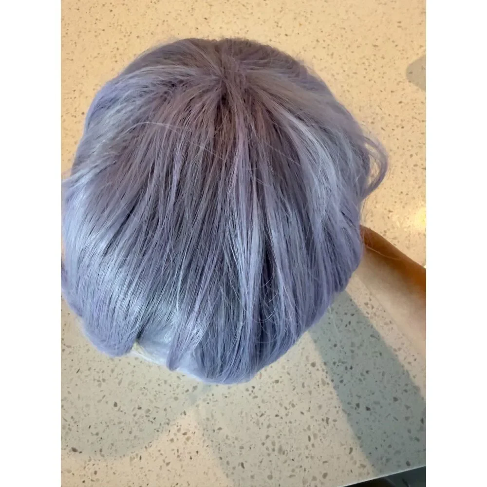 Purple Wig Short Straight Gray Purple Wig Halloween Cosplay Costume Animie Wigs